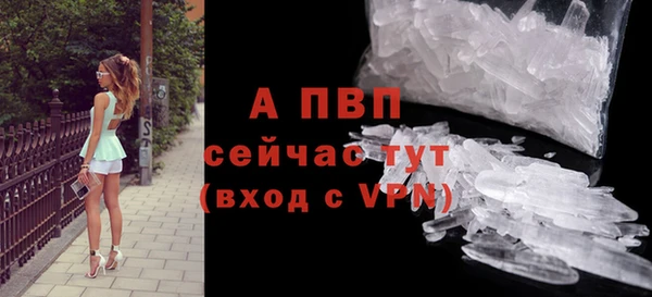 соль ск Богданович