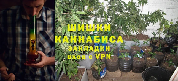 соль ск Богданович