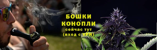 МДПВ Богородицк