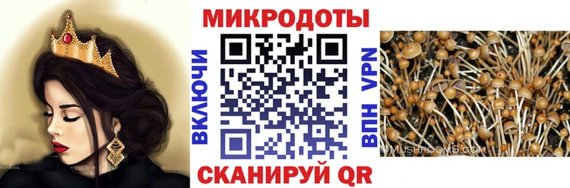 Галлюциногенные грибы Psilocybe  Купить закладки  Куровское 