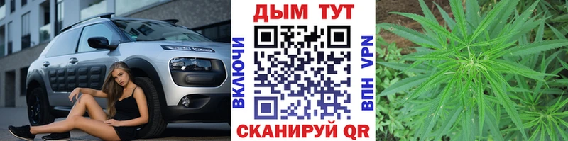 Бошки Шишки Amnesia  Купить закладки  Куровское 